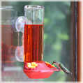 Garden Song&reg; Window Mounted Glass Hummingbird Feeder