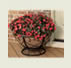 Planters