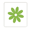 shop our other brands - flower garden
