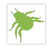 shop our other brands - pest control - insect control
