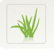 shop our other brands - lawn care
