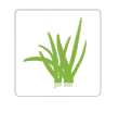 shop our other brands - lawn care