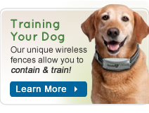 Train and Contain with A Havahart Wireless Fence