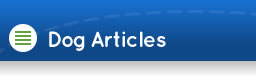 Dog Articles