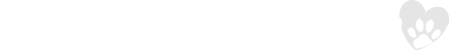 Is Wireless Right For You?
