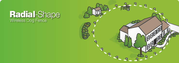 Radial Shape