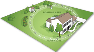 Radial Fence Illustration