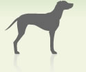One dog, average neck size system