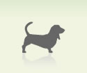 One dog, small neck size system