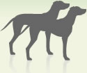 Two dogs, average neck size system