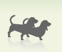Two dogs, small neck size system