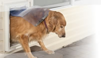 Havahart Pet Doors