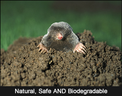 Mole Out is Natural, Safe and Biodegradable