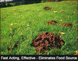 Mole Out is Fast Acting & Effective
