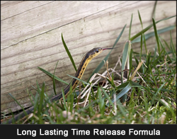 Long Lasting!