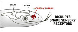 Disrupts Snake Sensory Receptors