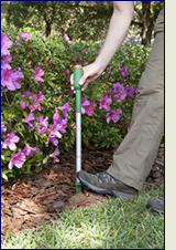 Havahart Electronic Deer Repellent In Action