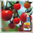Safer® Brand Tomato and Vegetable Insect Killer - 32oz. RTU