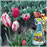 Safer® Brand Insect Killing Soap - 32oz. RTU