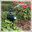 Havahart Spray Away® Motion Activated Sprinkler 2.0 - Bundle