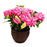 Safer® Brand Houseplant Sticky Stakes, 3-Pack