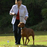 Radial-Shape2 Havahart®  Wireless Dog Fence with Extra Collar - Small Dog