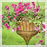 CobraCo® Queen Elizabeth Parasol Style Hanging Basket, Bronze